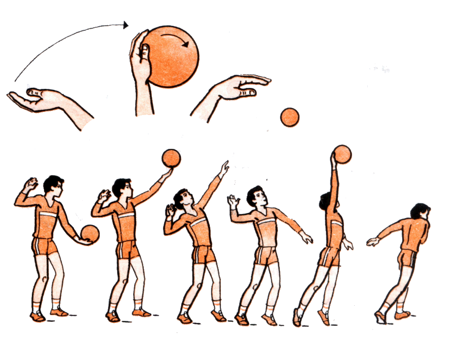 Картинки по запросу как правильно подавать мяч в волейболе